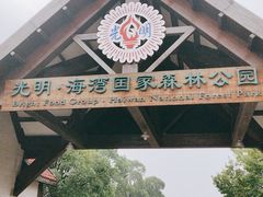 -上海海湾国家森林公园