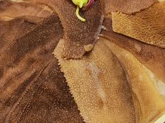 -大龙辣火锅·龙虾·烧烤(湖滨新天地店)