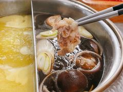 -一绪に寿喜烧(荟聚店)