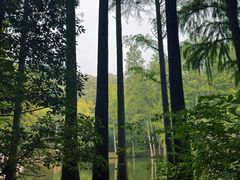 -波尔登森林公园