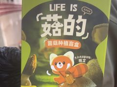 -滇牛云南火锅(桂林路店)