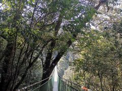 -云南屏边大围山国家公园