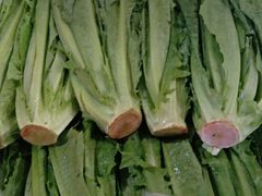 -三亚新鸿港水果一级批发市场