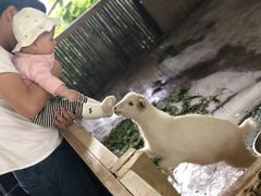 -宁波九龙湖开元度假村