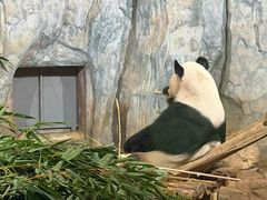 -深圳野生动物园