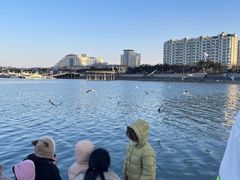 -巧克力渔家.小船海鲜胶东菜(万平口店)