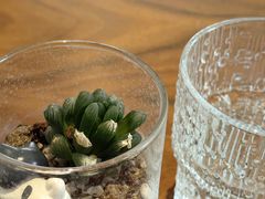 -Fridi Patisserie Cafe