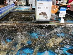 -盒马鲜生(皇庭广场店)