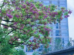 -悠乐汇