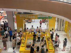 -帕帕拉兹宠物(亚洲旗舰店)