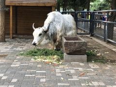 -长白岛森林公园