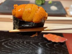 马粪海胆军舰-橼舍鮨青木