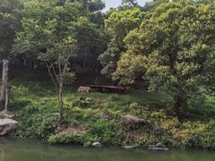 -宁波野生动物园