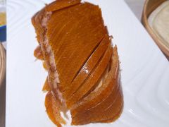 大董官方授权酥不腻烤鸭-船歌·鱼水饺青岛菜(闽江二路店)