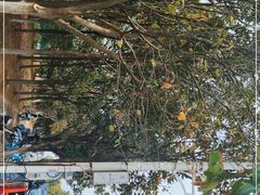 -艾溪湖湿地公园