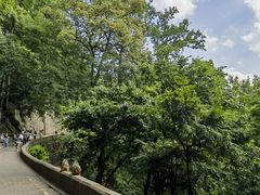 -黔灵山公园