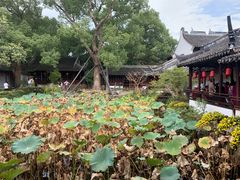 -上海醉白池公园