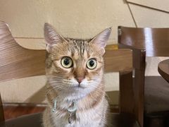 -H立方实景剧情密室(天河旗舰店)