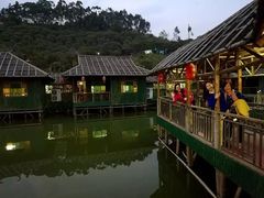 -大屏嶂森林公园