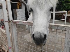 -金庭庄园酒店-停车场