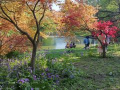 -共青国家森林公园-售票处