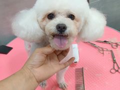 -宠福鑫康馨动物医院·骨科·眼科