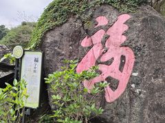 -天鹿湖森林公园