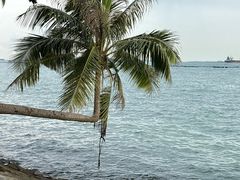 -巴拉湾海滩