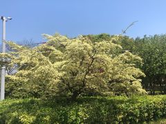 -蠡湖大桥公园