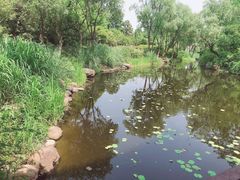 -西溪国家湿地公园