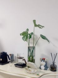 -美肤盾祛痘·问题肌头疗管理中心