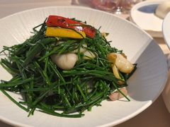 沙葱炒玉带鲍片-侨美食家·粤菜(体育西路店)