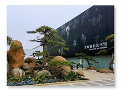-罗红摄影艺术馆