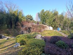 -菊花台公园