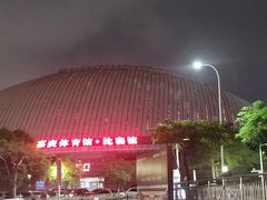 -嘉庚体育馆