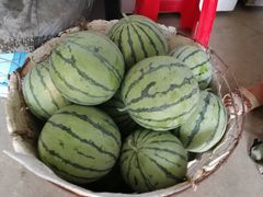 -胜丰草莓采摘园