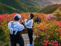 -大围山国家森林公园