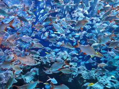 -成都浩海立方海洋公园