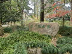 -杭州植物园