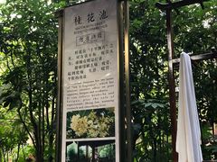 -天目湖御水温泉·度假酒店