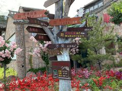 -五龙城郊森林公园