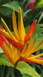 -瑜舍瑜伽连锁教室