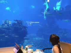 -海棠湾洲际-涛·海底餐厅·美人鱼·自助餐·海底隧道