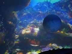 -海昌极光餐厅