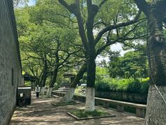 -院士公园