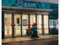 -盒马X会员店(王府井奥莱UP TOWN店)
