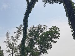 -泉眼温泉