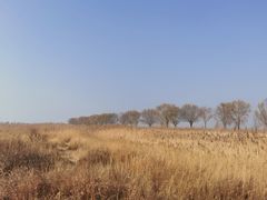 -野鸭湖国家湿地公园