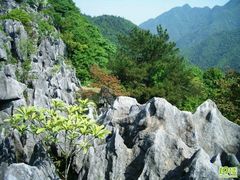 android_upload_pic-千岛湖石林