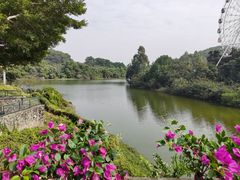 -观澜湖生态运动公社